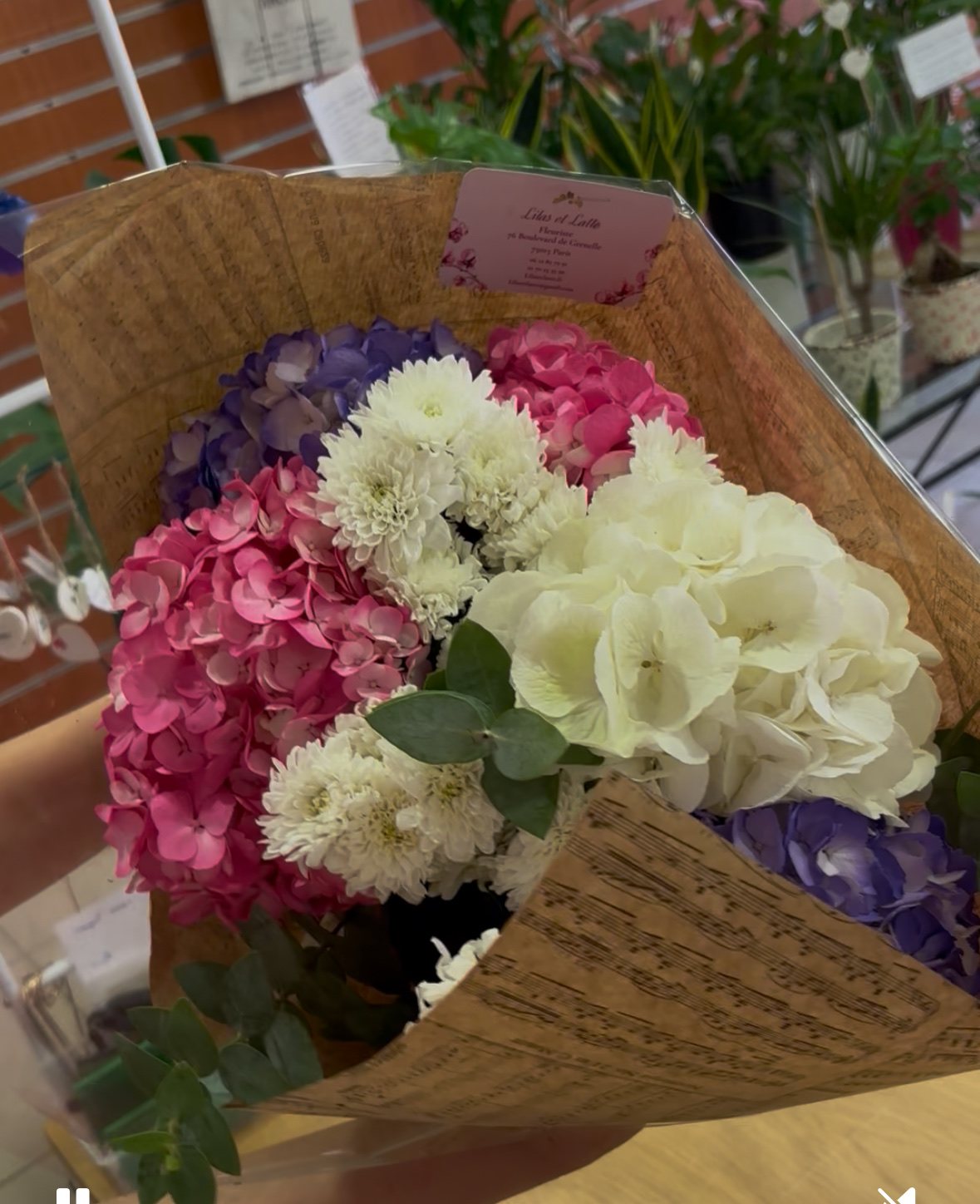 Bouquet d’hortensias fuchsia, roses blanches et lisianthus