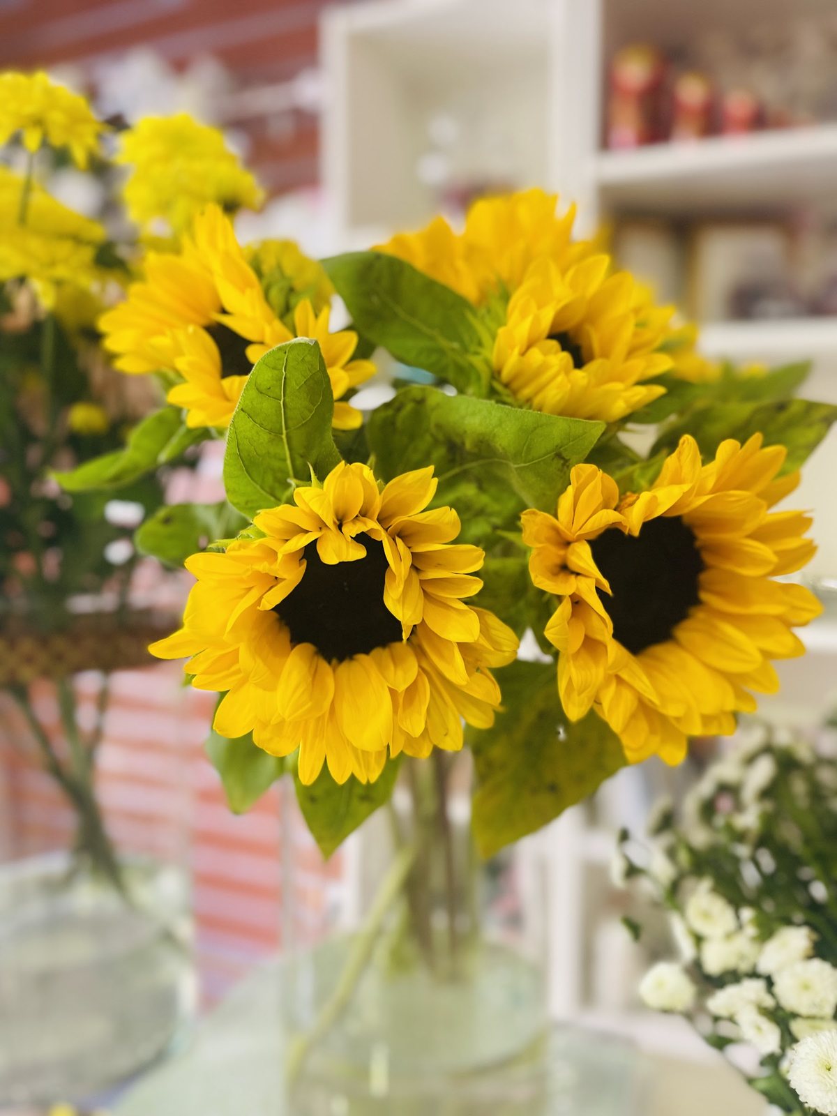 Tournesols en vase