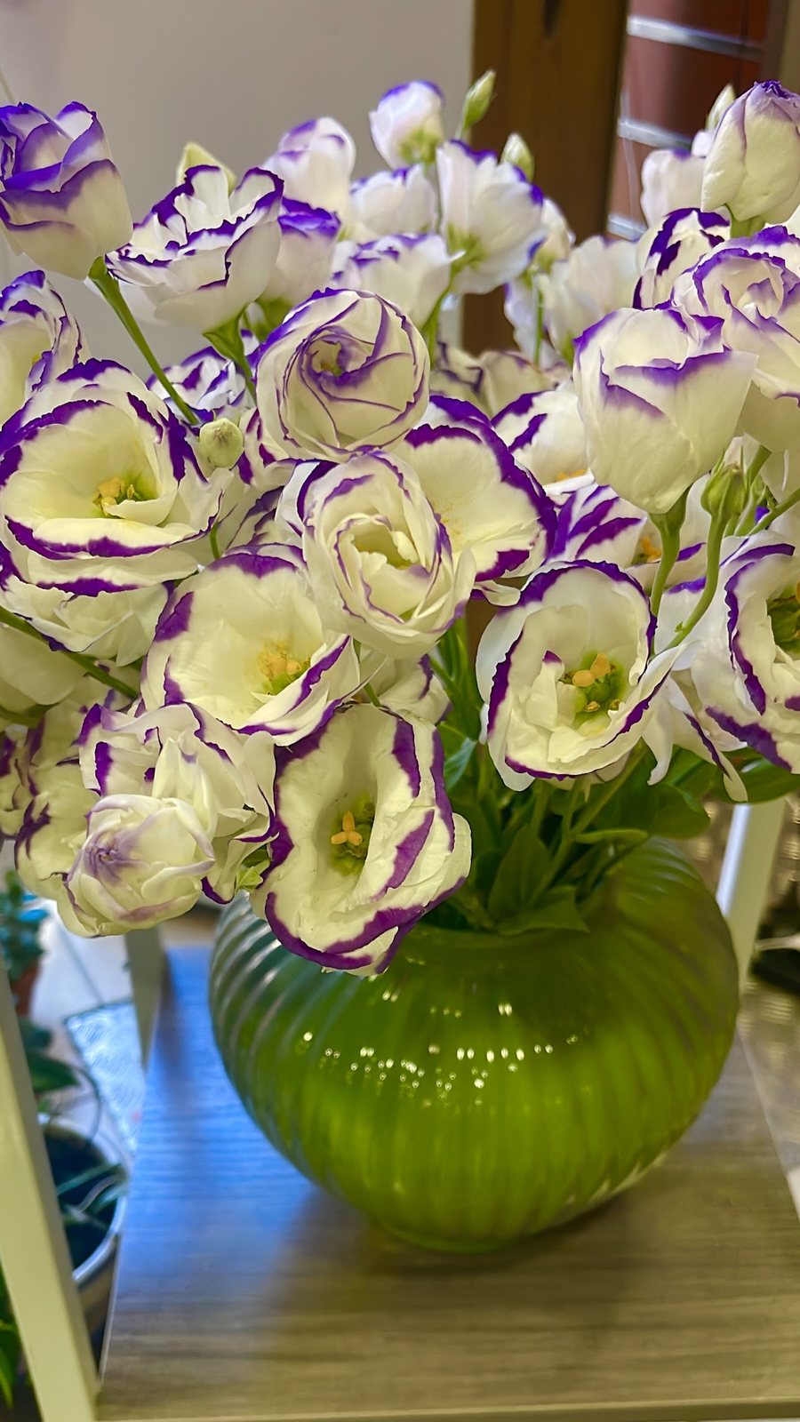 Lisianthus blancs bordés de violet